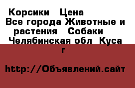 Корсики › Цена ­ 15 000 - Все города Животные и растения » Собаки   . Челябинская обл.,Куса г.